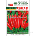 Red Cluster Pepper Chili Seeds For Growing Good Price and Excellent Quality-Noble Red Cluster